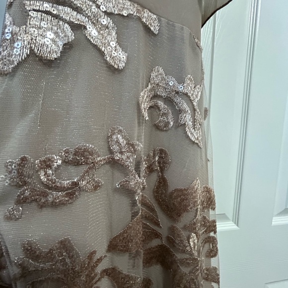 A-line V-Neck Floor-Length Lace Sequin Mother of the Bride Dress Taupe. - Picture 7 of 16